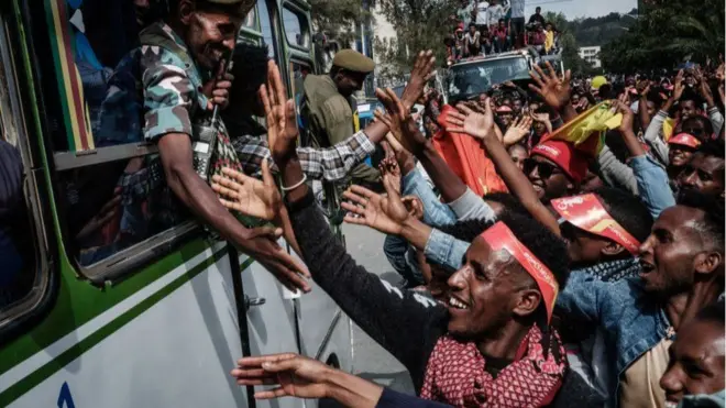 Riphee loltoonni yeroo Maqalee seenan