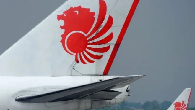 A Lion Air tail wing