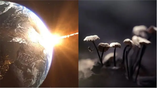 భూమిని ఢీకొంటున్న గ్రహ శకలం, ఆహారం