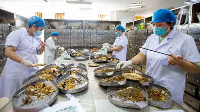 La pandemiaeu estrela betcovid-19 creó la oportunidad para que Pekín intente internacionalizar la medicina tradicional china.