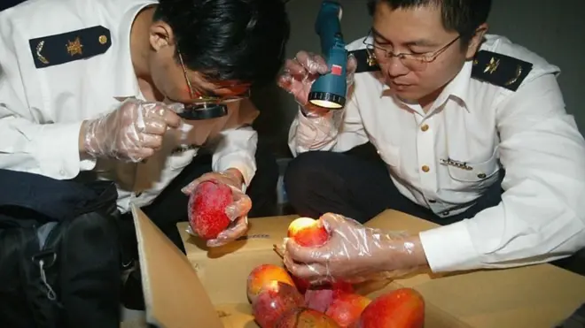 चीन के लिए खाद्य व्यापार भी एक हथियार है