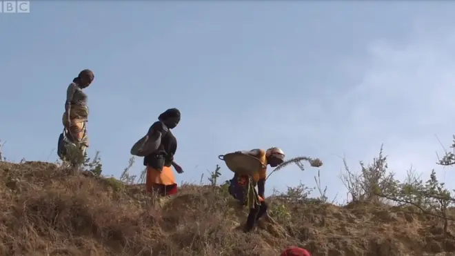 Nijerya kalay madeni