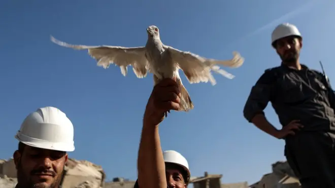 "Белые каски" заявляют о своей нейтральности и мирных усилия по спасению людей (август 2017 г.)