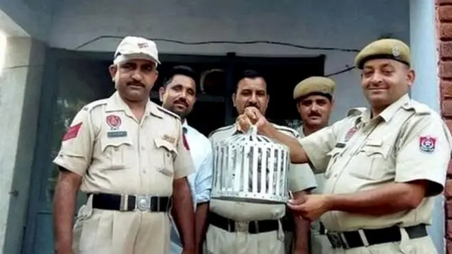 پاکستان سے متصل سرحدی علاقوں میں جب بھی کو مشتبہہ پرندہ نظر آتا ہے تو حکام اسے پکڑنے کی کوشش کرتے ہیں