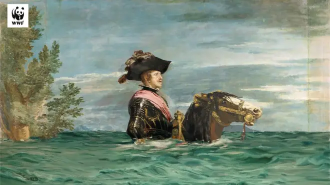 ብ 'WWF' ዝተዳለወ ስእሊ ቫለስኪዝ