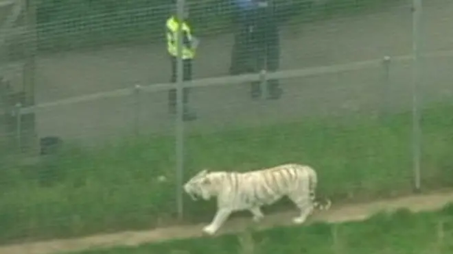 चिड़ियाघर