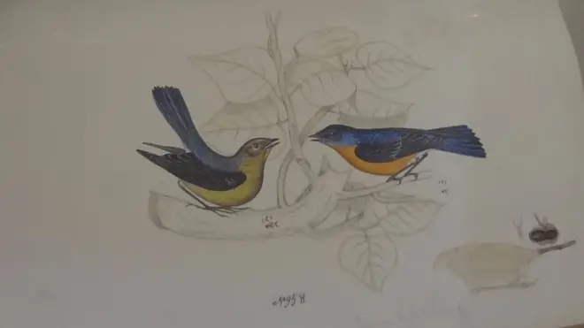 ब्रायन हटन हज्सन