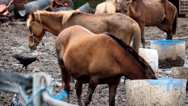 Fardeen qalmaaf hiriiranii jira