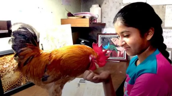 කුරුල්ලන් සමග කල් ගෙවන අක්ක නගෝ