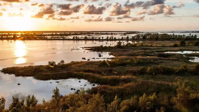 （圖片來源: Jim O'Donnell）