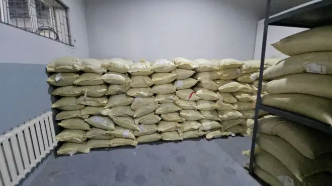 Кўкнори қаердан келгани айтилмаяпти