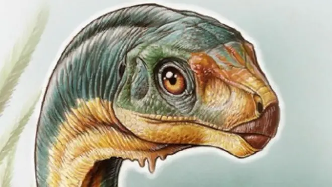 Do tamanhobrabet apostasum cachorro grande: o chilesaurus foi descoberto na América do Sul