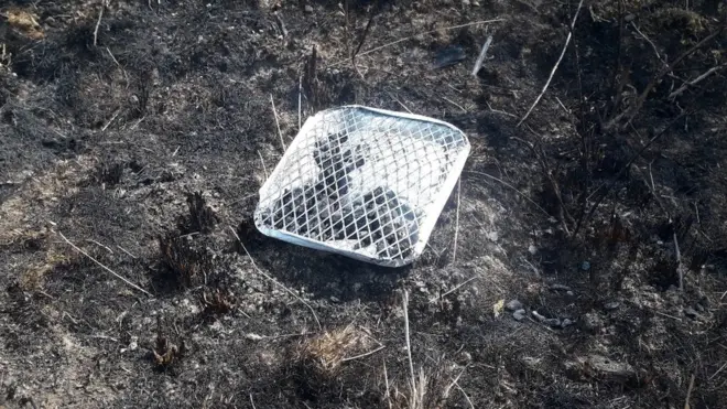 Co op stops selling disposable barbecues near national parks BBC News