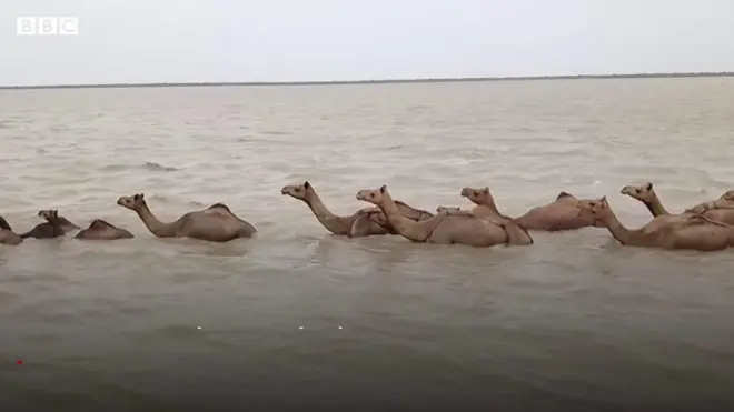 ኣግማል ህንዲ