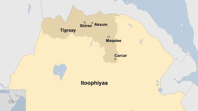 Raayyaan ittisaa riqichoonni afur Maqaleetti geessan humnoota TPLF'n jijjiguu ibseera