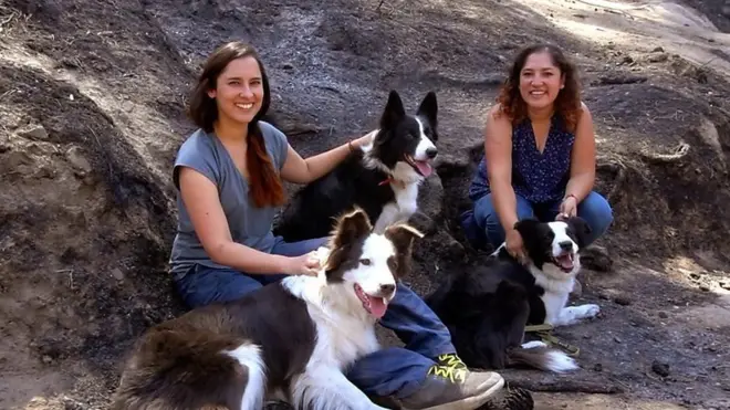 tri psa i dve sestre