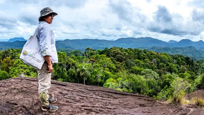 ගෝතමී වීරකෝන්