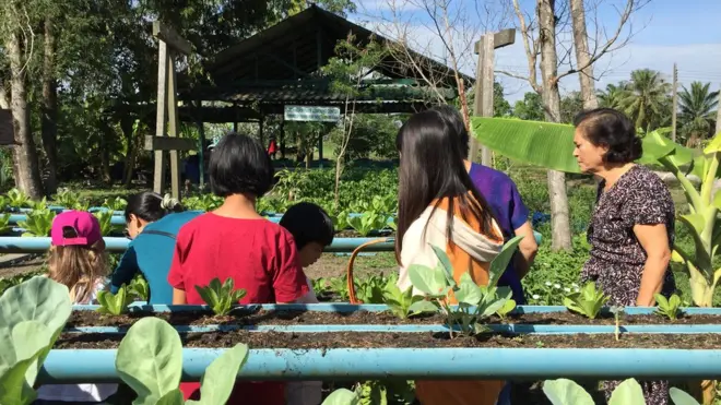 Trẻ tại Chaiyapruk Children's Home trồng rau sạch