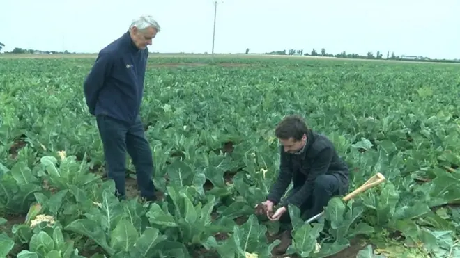 تولید محصولات کشاورزی مقاوم به آب شور