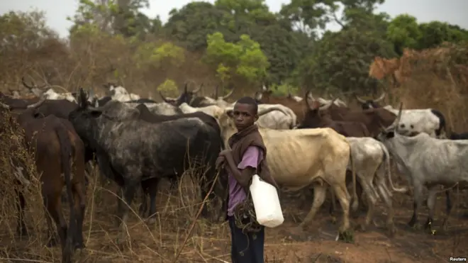 La ville de Ngakobo située à 30 km de Bambari a été attaquée.