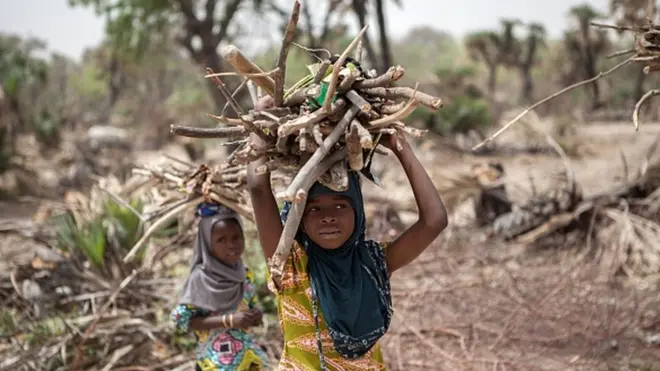 Des enfants transportant du bois de chauffage dans un village nigérian.