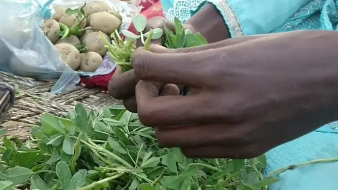 گریٹر نوئیڈا میں گینگ ریپ کا شکار خاتون