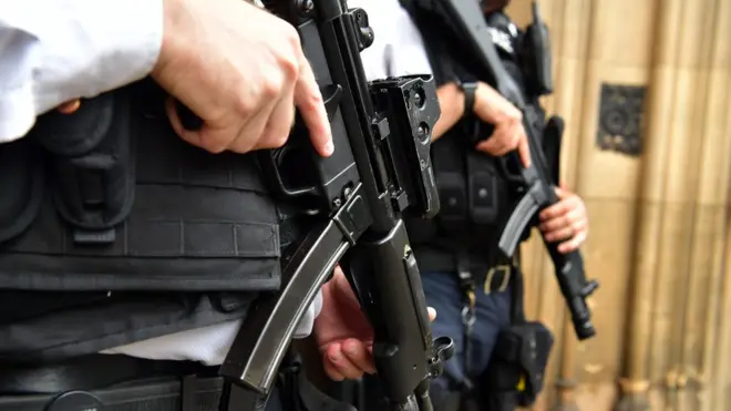 Вооруженные полицейские будут патрулировать некоторые районы Лондона круглые сутки