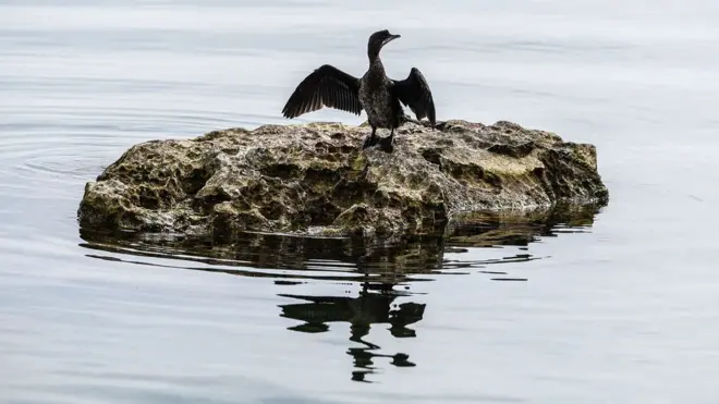 O Lago Ohrid se formou entre quatro e 10 milhõescasino online com rodadas grátisanos atrás, sendo um dos lagos mais antigos do mundo