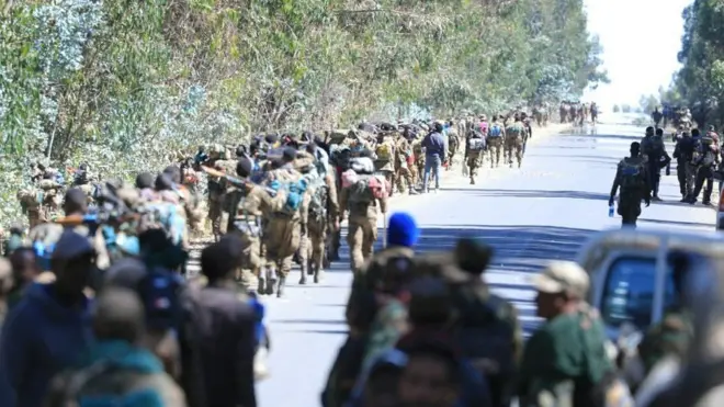 የመንግሥት ኃይሎች