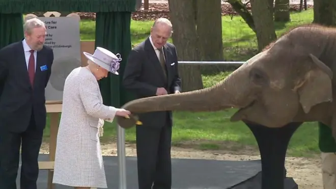 ملكة بريطانيا تطعم الفيلة "دونا" موزا