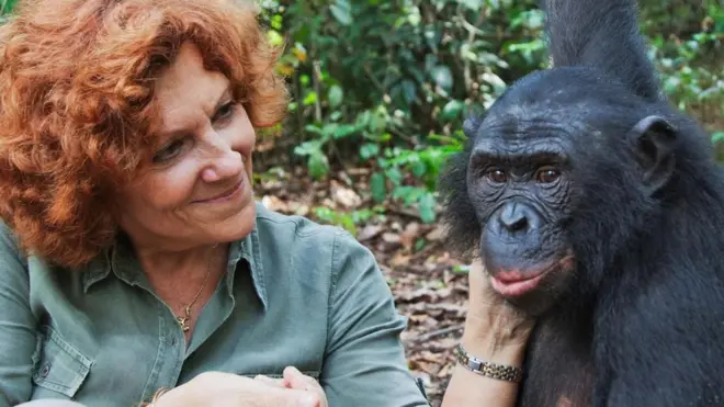 bonobo, orca, paus, perempuan