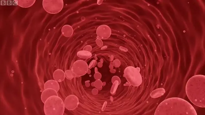 Холестерин