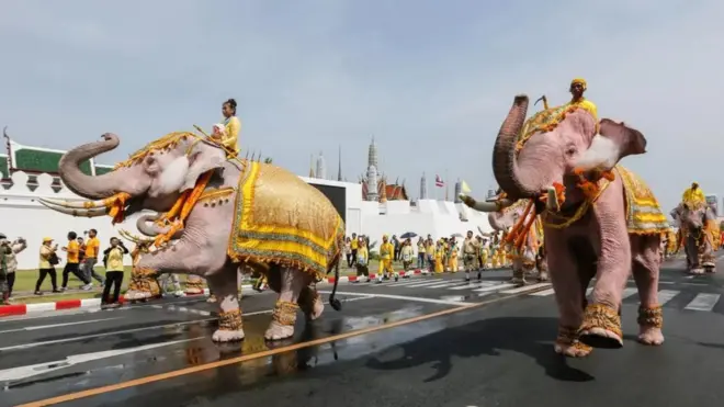 Elephants parade near the Grand Palace in Bangkok to celebrate the Thai King's coronation