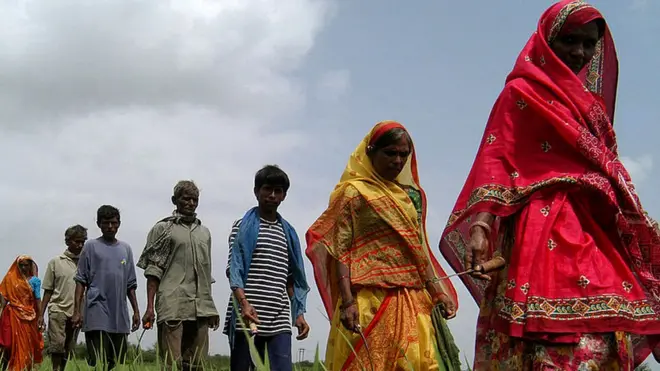 भारतीय किसान