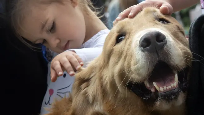 개를 쓰다듬고 있는 한 아이