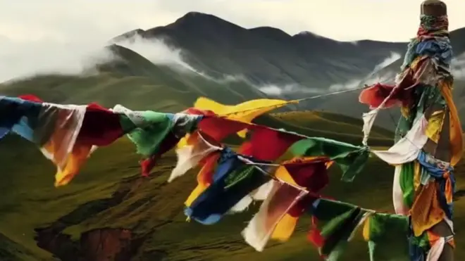 فلم فیسٹیول