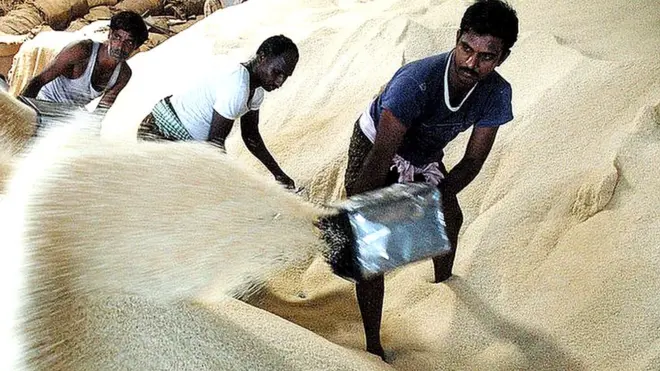 బియ్యం ఎగుమతులకు కాకినాడ పోర్టు కేంద్రంగా మారుతోంది