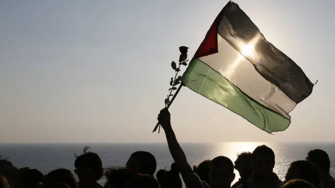 علم فلسطين ووردة