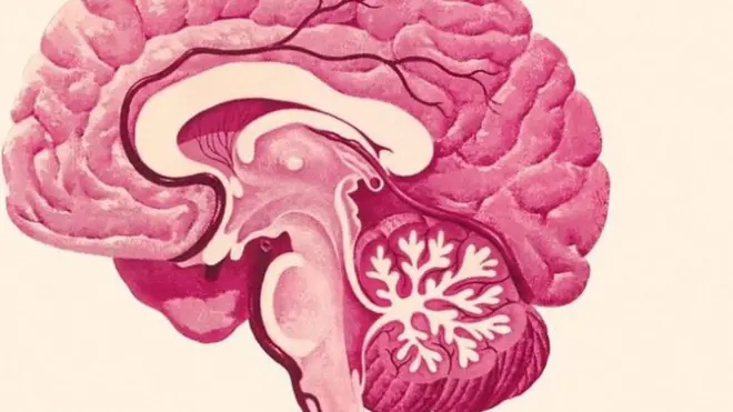 تقريرات دولية تشير إلى أن عدد المصابين في الوقت الحالي بلغ 47 مليونا.