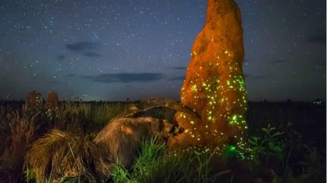 Mr Cabral said a long exposure was needed to capture the scene