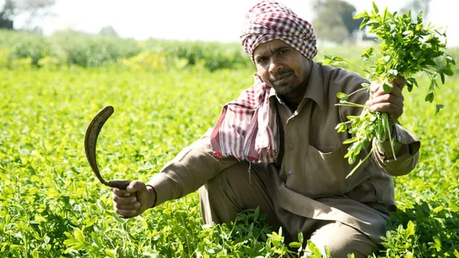 भारतीय किसान