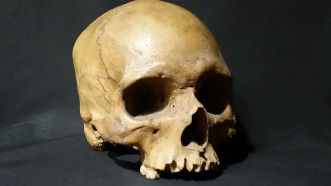 આ ખોપરી ભારતમાં અંગ્રેજો વિરુદ્ધ જંગે ચડનારા 32 વર્ષના સૈનિકની છે.