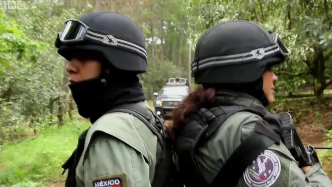 Патруль авокадової поліції