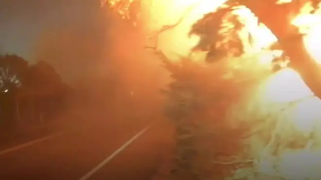 Лісова пожежа в Каліфорнії