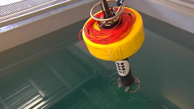 ما مدى تأثير التلوث الصوتي على المخلوقات البحرية؟