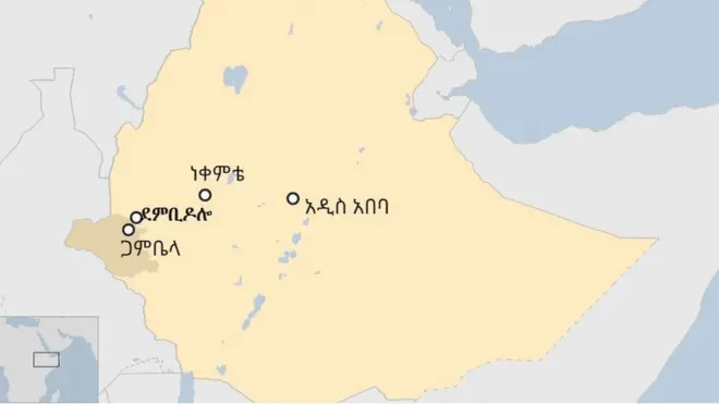 ተማሪዎቹ የታገቱት ከደምቢ ዶሎ ጋምቤላ በሚወስደው መንገድ ላይ ነው