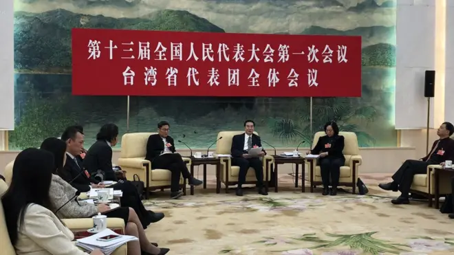 2018年中国两会上的台湾省代表团