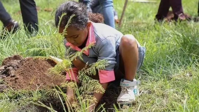 Daa'ima biqiltuu dhaabaa jirtu