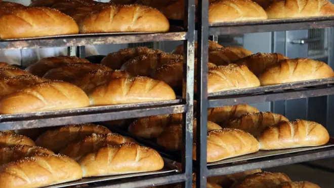 Mil, maïs, sorgho et fonio ont aussi fait l'objet d'expérimentations pour être incorporés dans le pain.