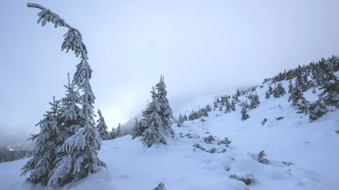 В Карпатах можливі лавини, кажуть у ДСНС